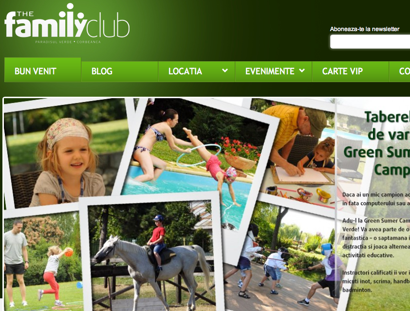 Website Design & Coding </br> Identity Development